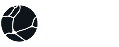 Onyx Merchant Hub Logo